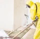 Why Rodents Move Indoors During Winter and How to Stop Them