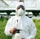 Rodent Activity on the Rise in British Columbia After Rodenticide Regulations Change